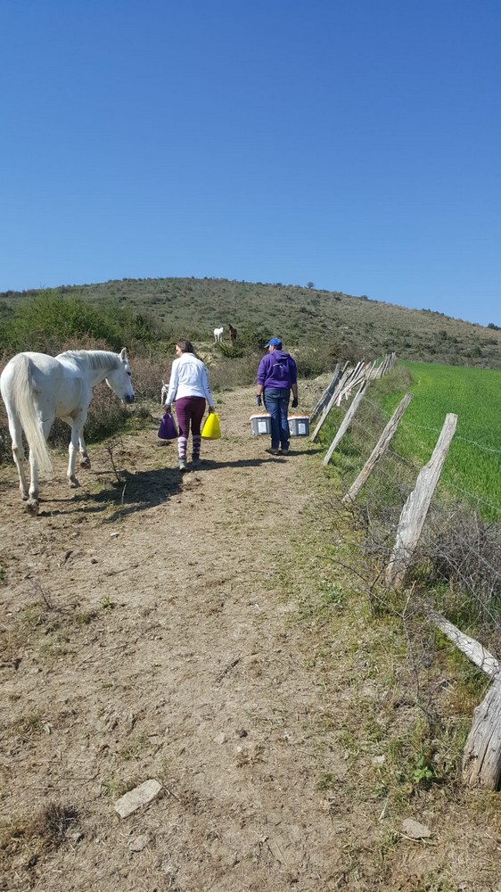#yoentrenoencasa con Marina Zapata